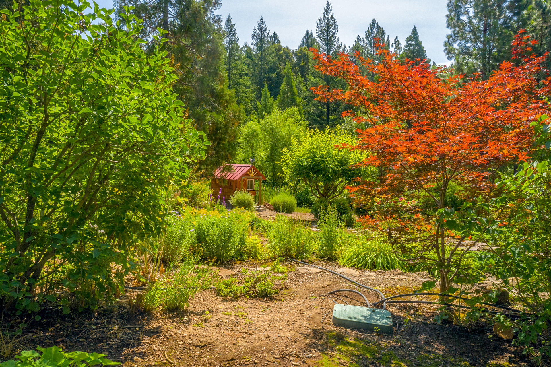 30522 Oak Run To Fern Road Whitmore, CA 96096 - Photo 66 of 70 aerial side