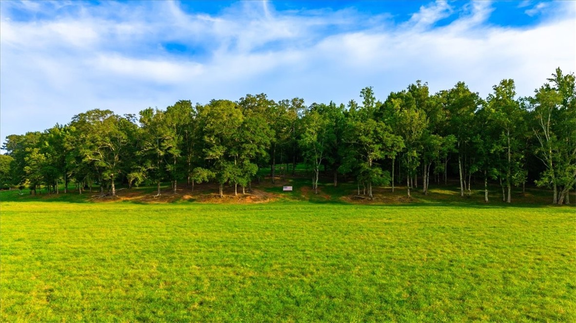 360 St Paul Road Easley, SC 29642 - Photo 13 of 39