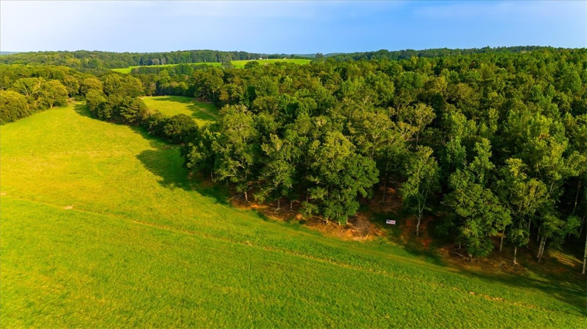 360 St Paul Road Easley, SC 29642 - Photo 14 of 39