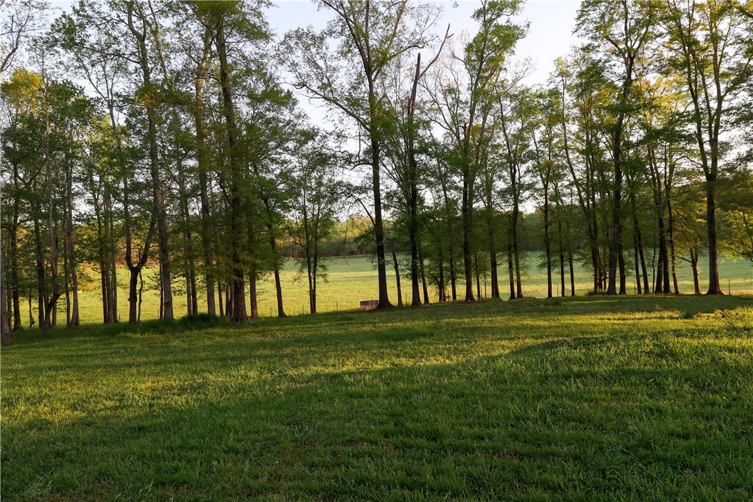 360 St Paul Road Easley, SC 29642 - Photo 2 of 39 Front Yard View