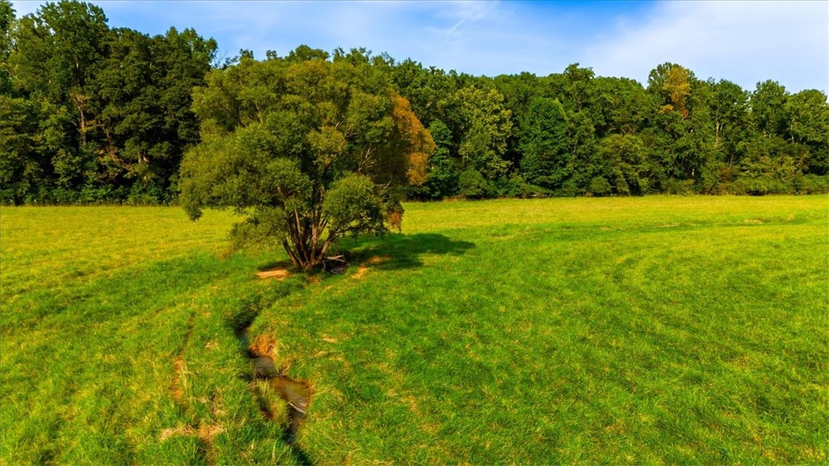 360 St Paul Road Easley, SC 29642 - Photo 5 of 39
