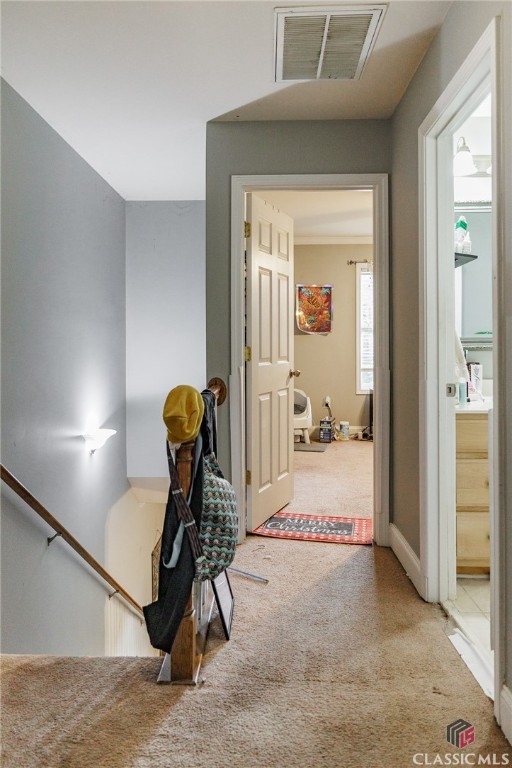 105 Whitehead Road, Unit 23 Athens, GA 30606 - Photo 11 of 22 Gallery Image 11