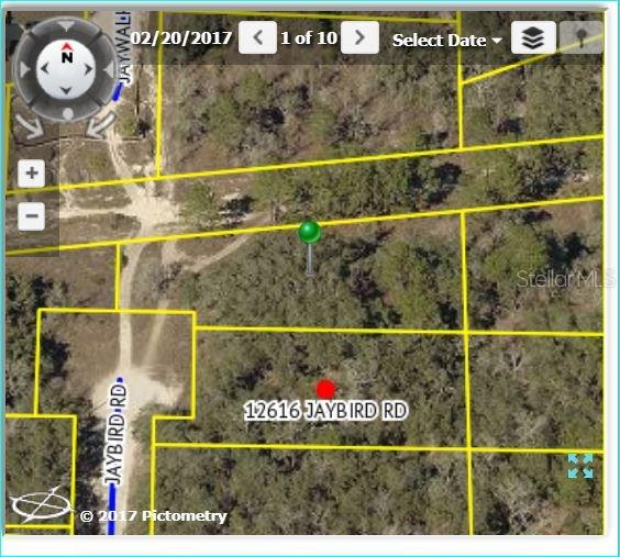 12626 Jaybird Road Weeki Wachee, FL 34614 - Photo 1 of 1 Gallery Image 1