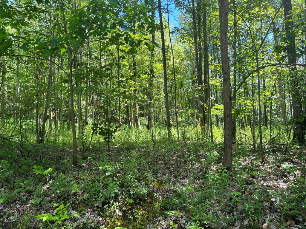 195 Corson Road Maine, NY 13802 - Photo 1 of 6 Gallery Image 1