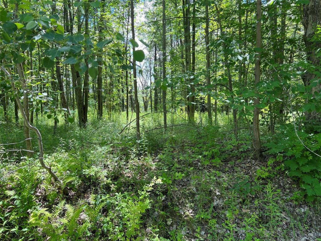 195 Corson Road Maine, NY 13802 - Photo 2 of 6 Gallery Image 2