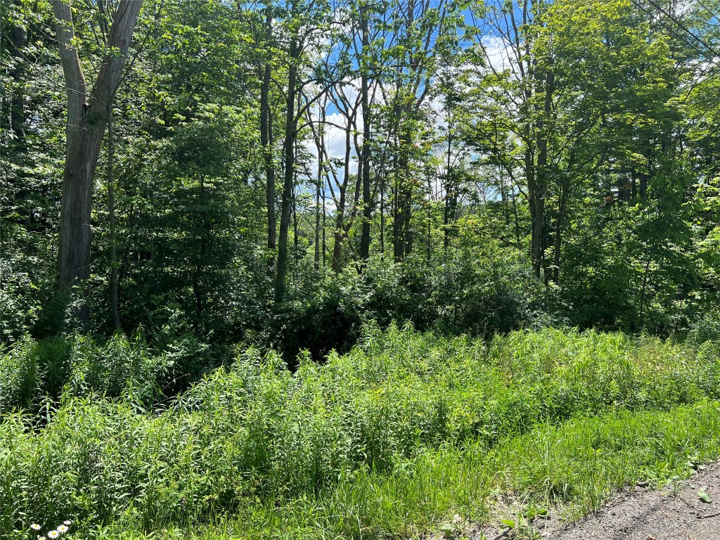 195 Corson Road Maine, NY 13802 - Photo 3 of 6 Gallery Image 3