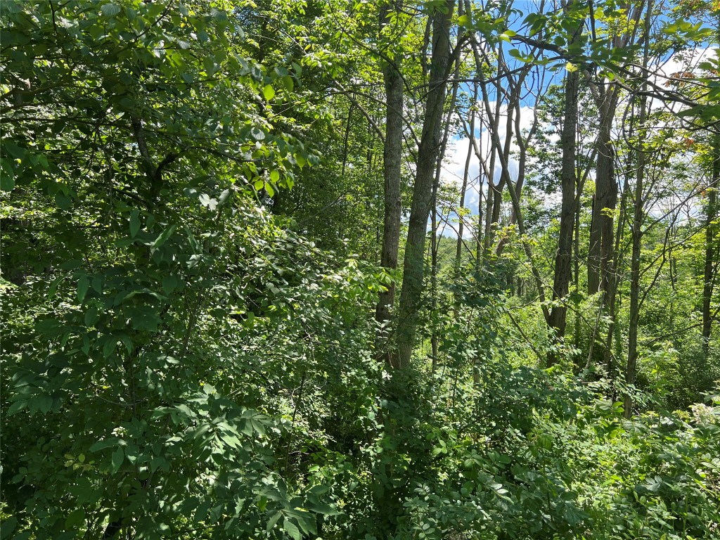 195 Corson Road Maine, NY 13802 - Photo 4 of 6 Gallery Image 4