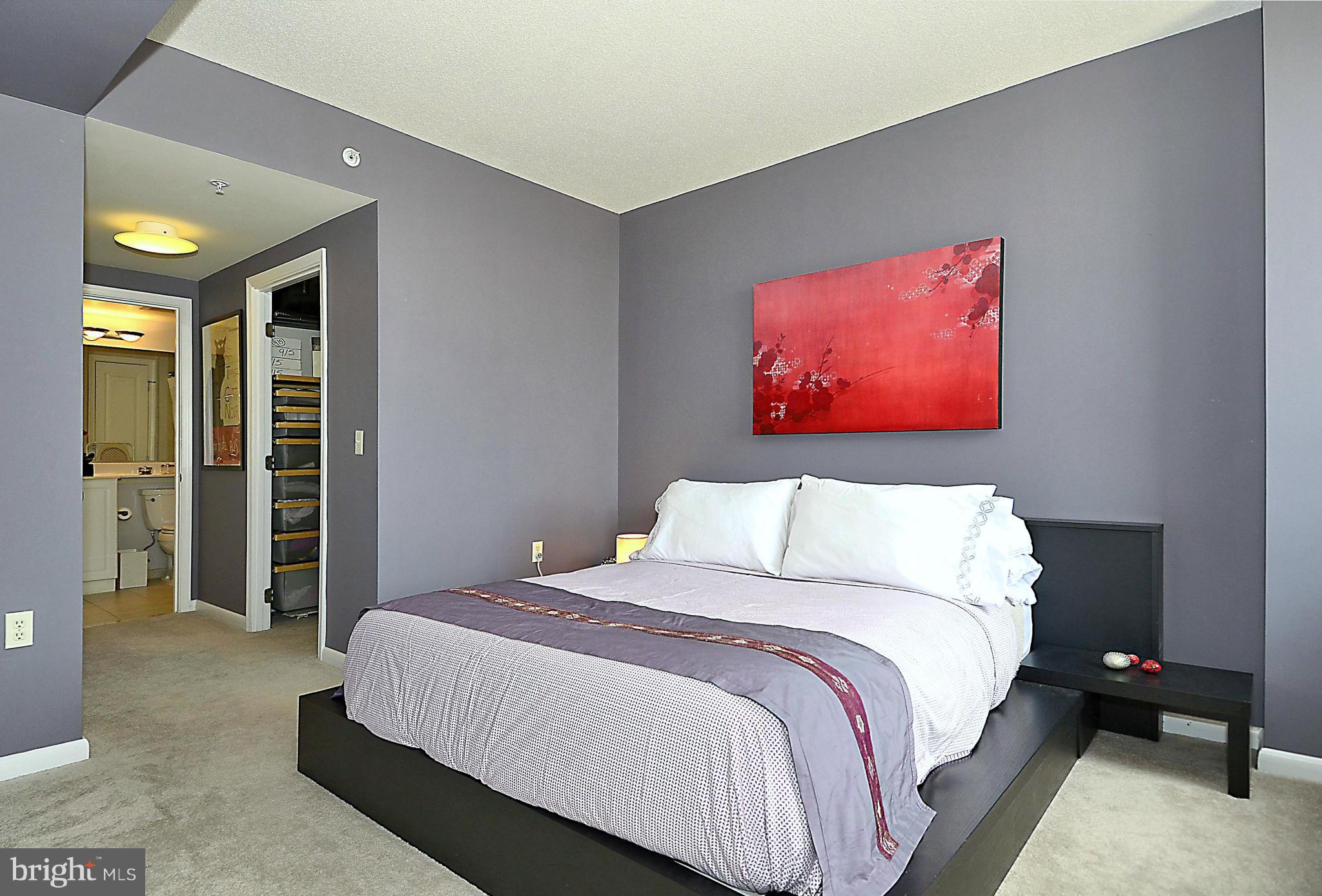 851 North Glebe Road, Unit 915 Arlington, VA 22203 - Photo 14 of 30 a bedroom with a bed and a walk in closet