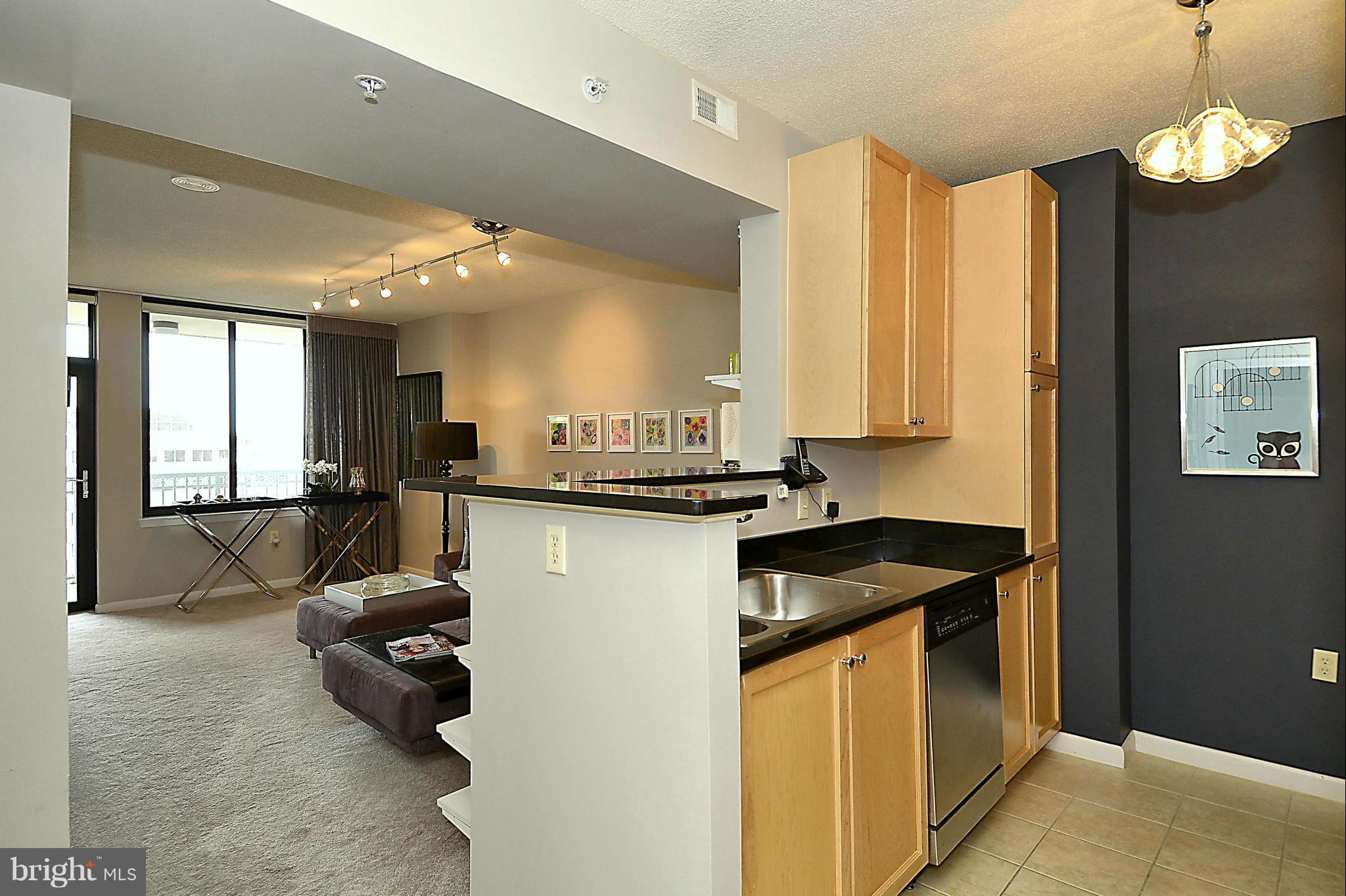 851 North Glebe Road, Unit 915 Arlington, VA 22203 - Photo 6 of 30 a kitchen with a sink and a refrigerator
