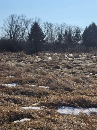 $750,000 | 215 East Logan Street, Tomah, WI 54660