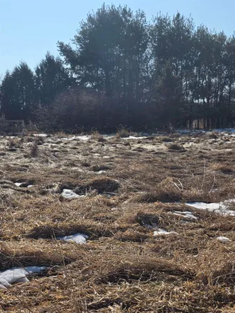 $750,000 | 215 East Logan Street, Tomah, WI 54660