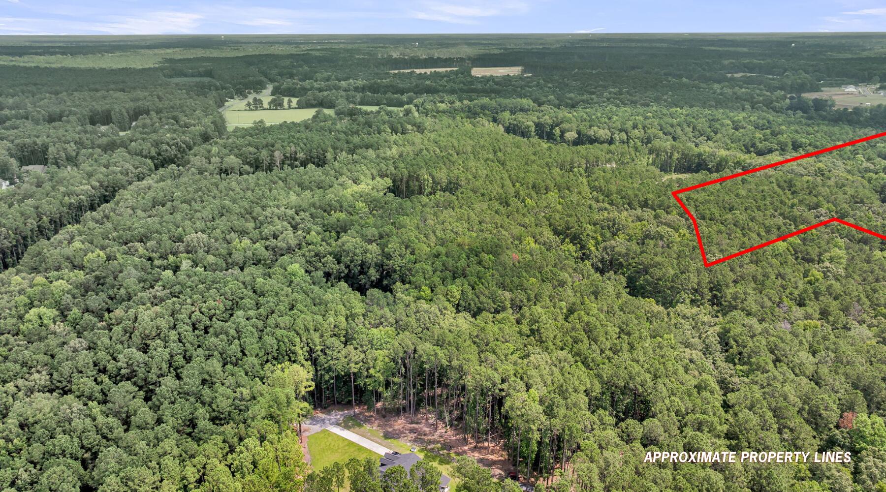 0 Canewood Lane Ridgeville, SC 29472 - Photo 16 of 18 4