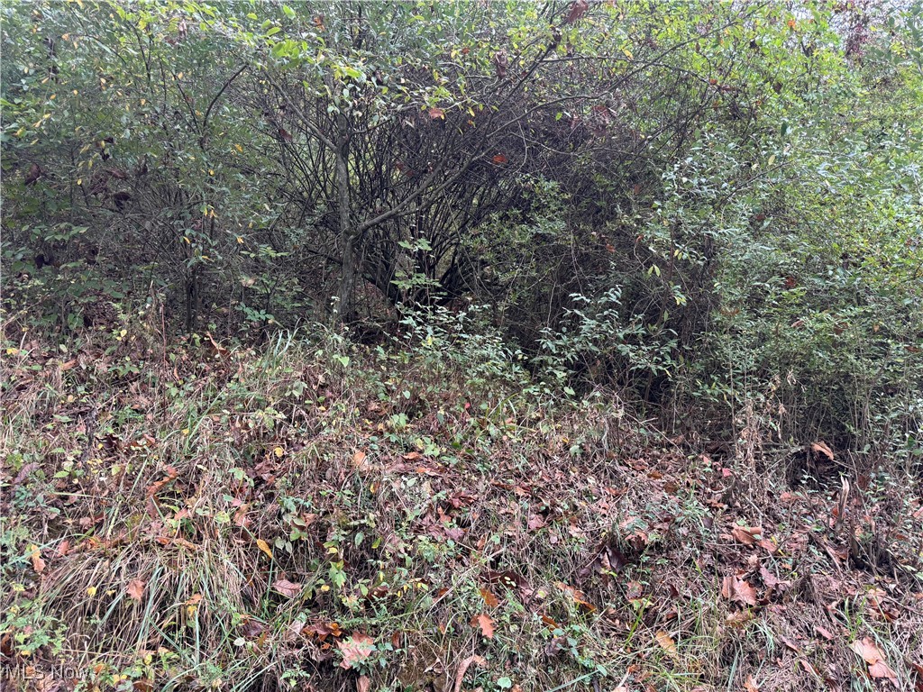 0 Lynn Camp Road Elizabeth, WV 26143 - Photo 2 of 6