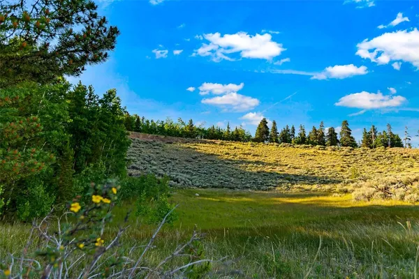 a view of a green field