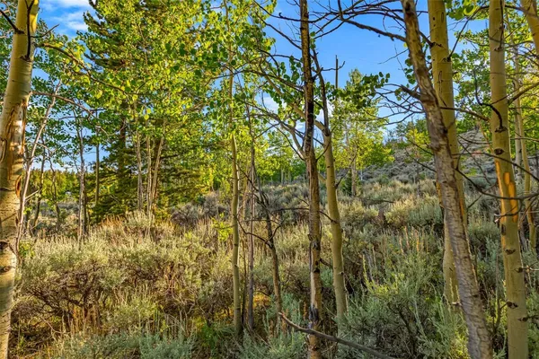 $129,000 | 1430 Coil Drive, Fairplay, CO 80440