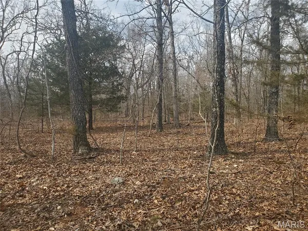 $180,000 | 0 South S Highway, Laquey, MO 65534