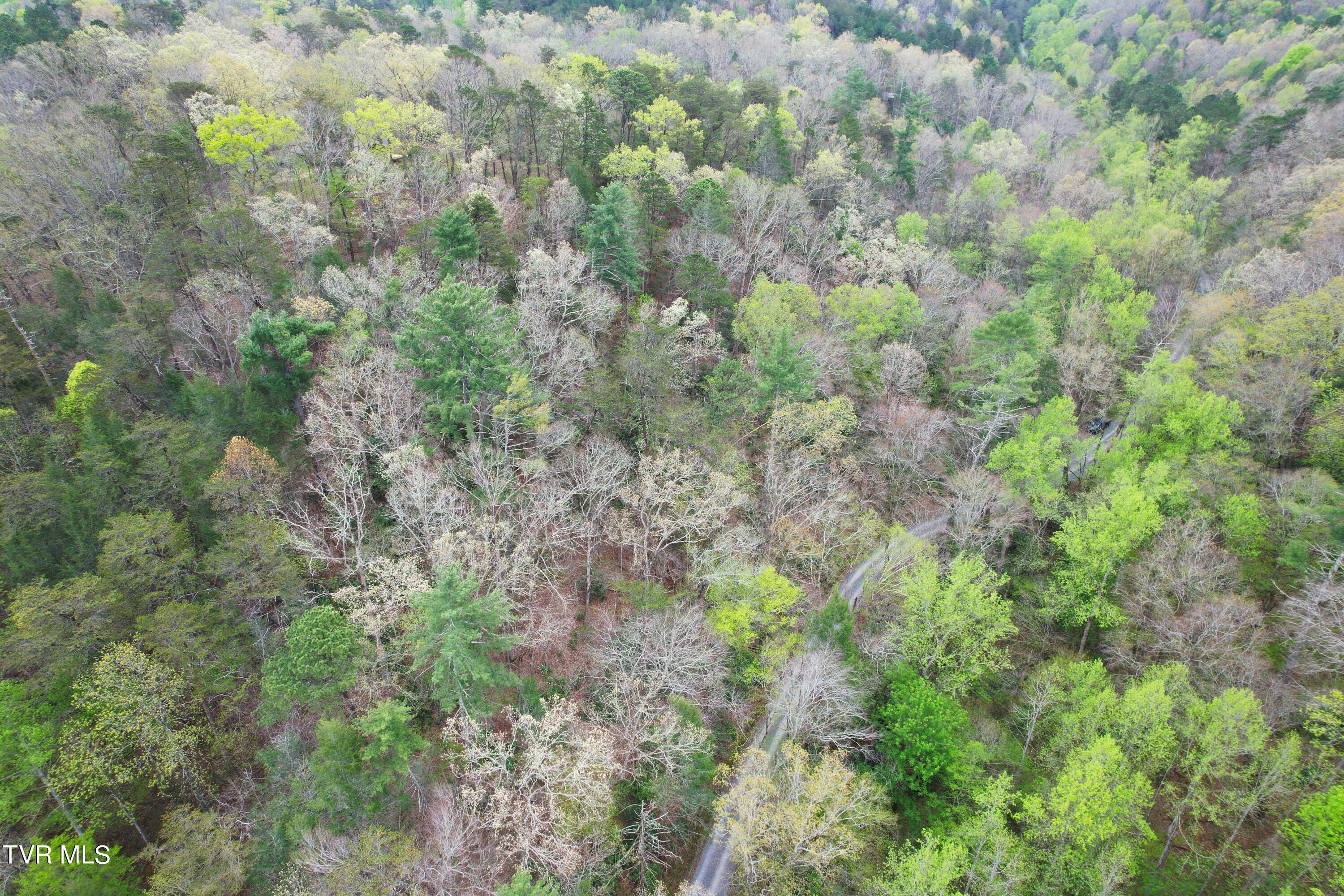 Lot 5 Country Square Road, Unit 5 Newport, TN 37821 - Photo 4 of 57 IMG_0003