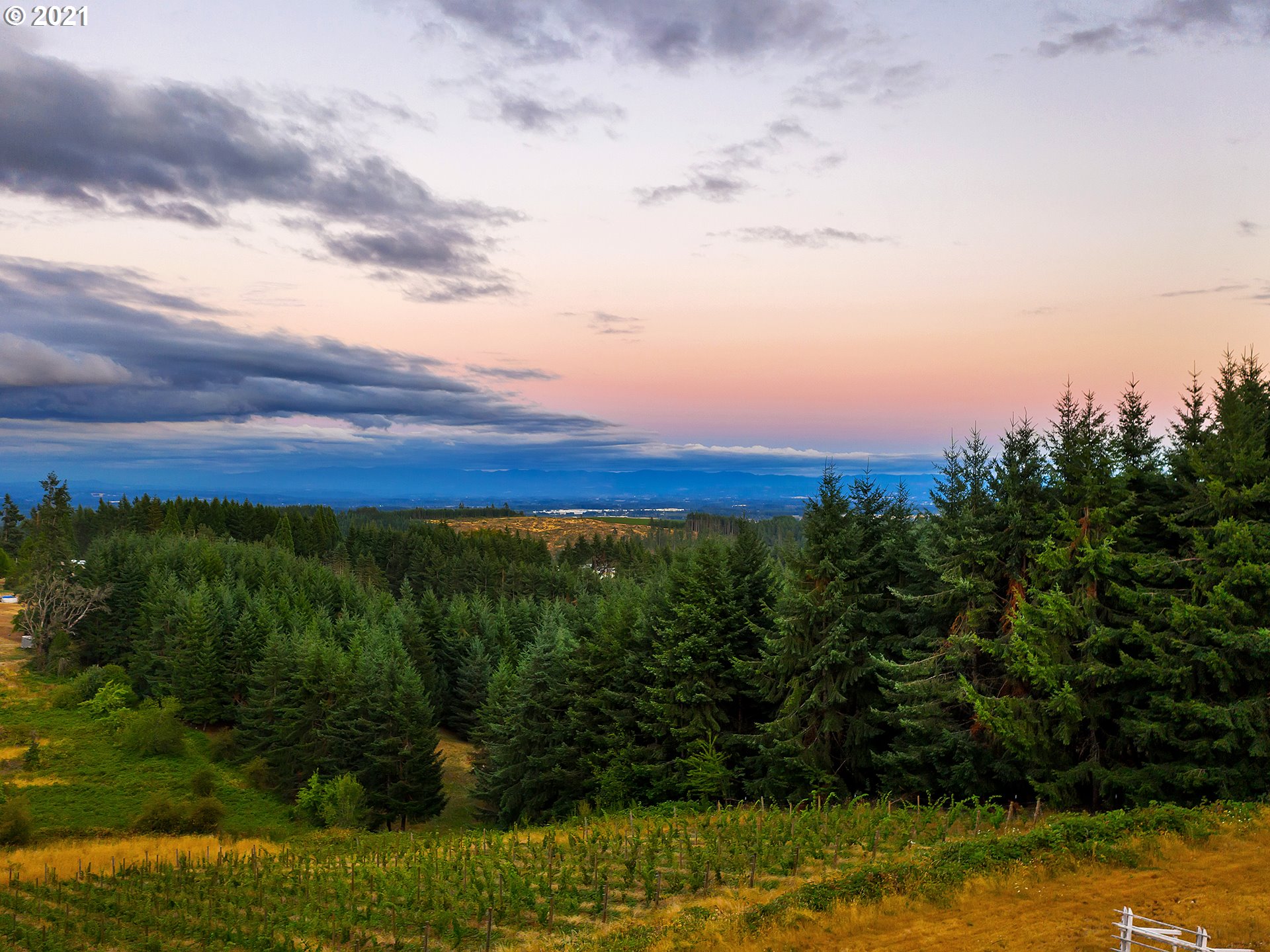 18485 Northeast Smith Road Newberg, OR 97132 - Photo 4 of 32