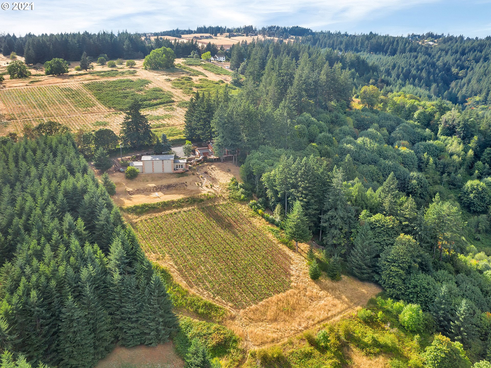 18485 Northeast Smith Road Newberg, OR 97132 - Photo 5 of 32