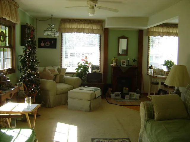 a living room with furniture and a potted plant