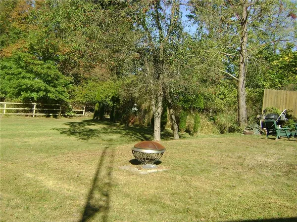 a view of a backyard with plants and a slide