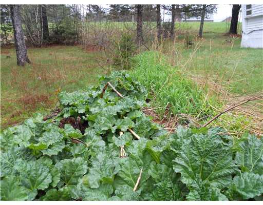 1305 Main Road Corinth, ME 04427 - Photo 18 of 19 Yard/Garden.