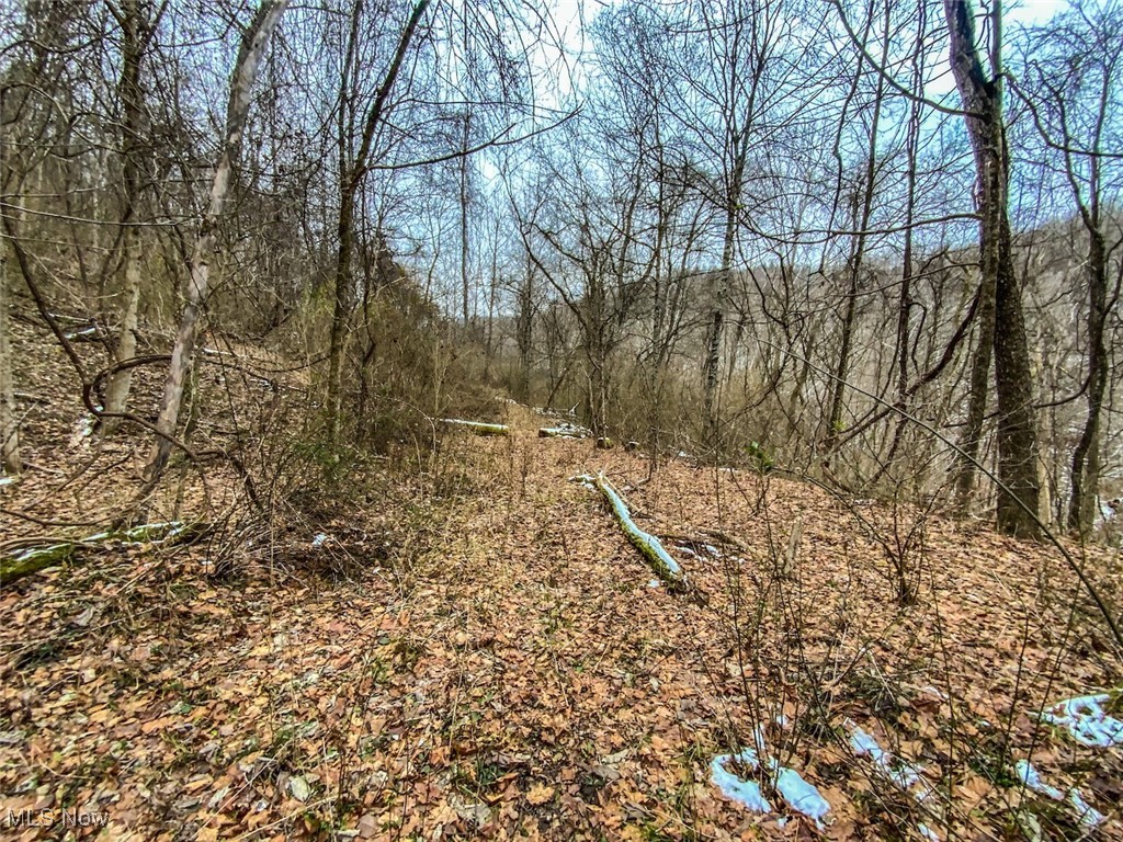 0 Trough Run Road Bellaire, OH 43906 - Photo 23 of 46 View of nature