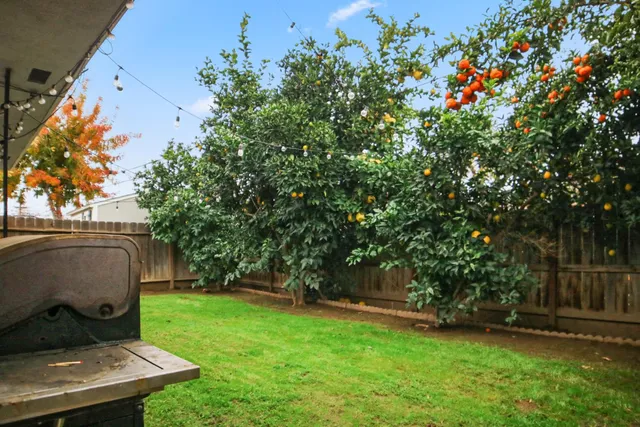 a view of a backyard with a garden