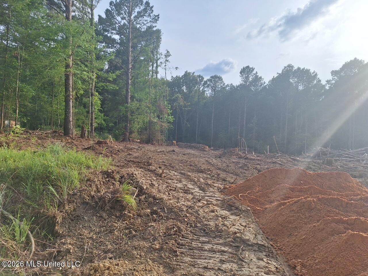 709 Old Pinola Braxton Road Braxton, MS 39044 - Photo 14 of 19 5589082503782734955
