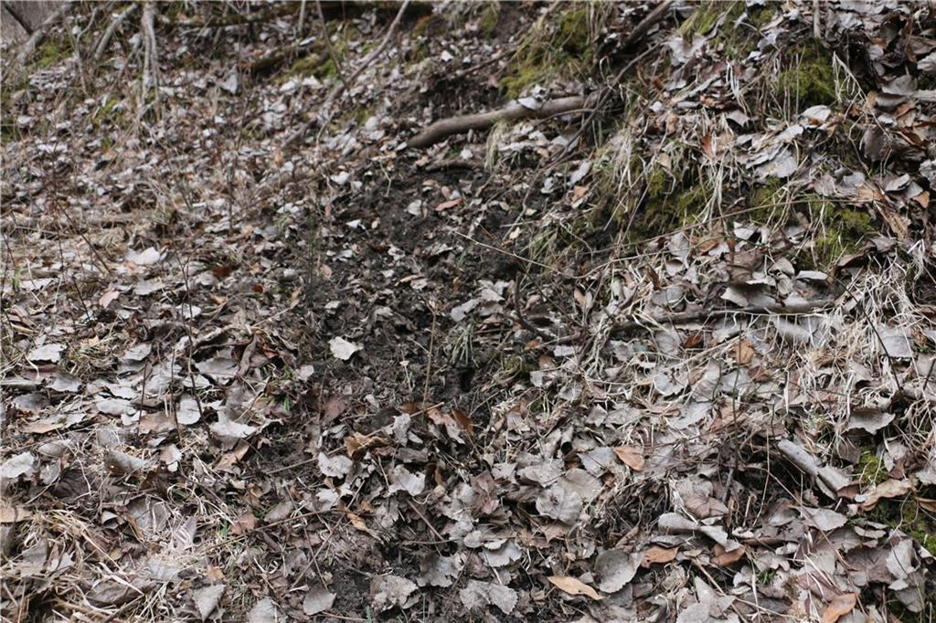 Tbd Rodeo Avenue Brunswick, MO 65236 - Photo 32 of 55