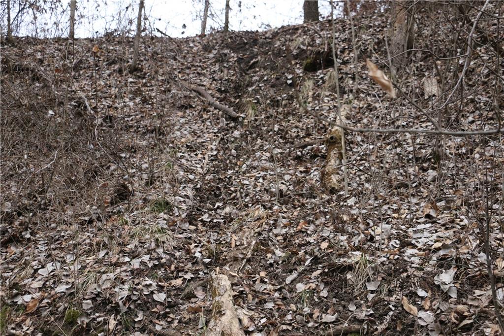 Tbd Rodeo Avenue Brunswick, MO 65236 - Photo 33 of 55