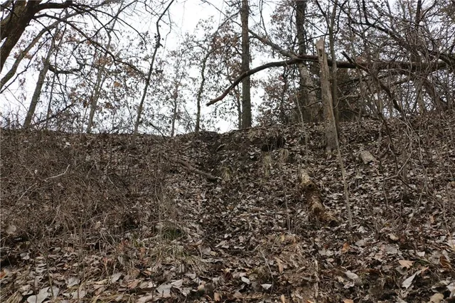 $497,700 | Tbd Rodeo Avenue, Brunswick, MO 65236