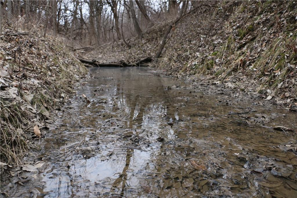 Tbd Rodeo Avenue Brunswick, MO 65236 - Photo 35 of 55