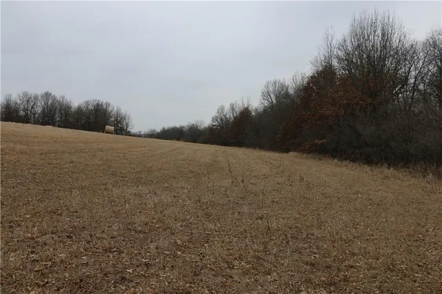 $497,700 | Tbd Rodeo Avenue, Brunswick, MO 65236