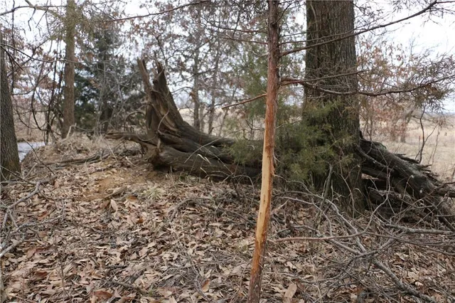 $497,700 | Tbd Rodeo Avenue, Brunswick, MO 65236