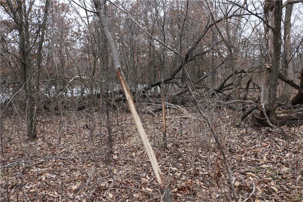 Tbd Rodeo Avenue Brunswick, MO 65236 - Photo 41 of 55