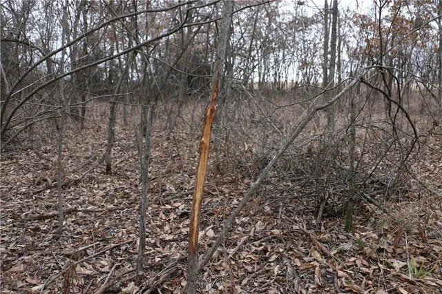 $497,700 | Tbd Rodeo Avenue, Brunswick, MO 65236