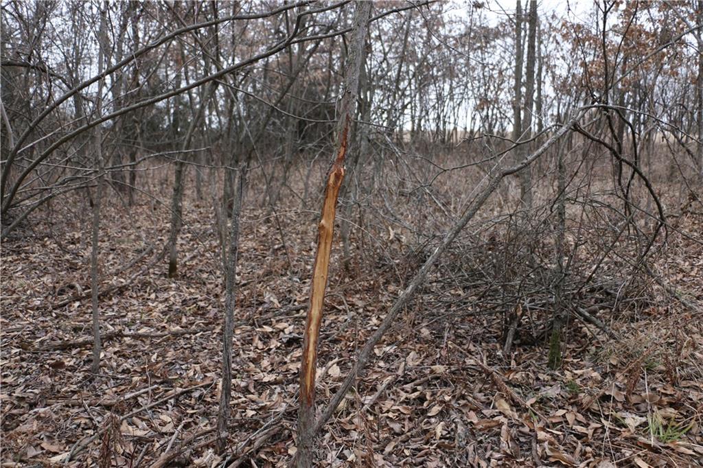 Tbd Rodeo Avenue Brunswick, MO 65236 - Photo 42 of 55