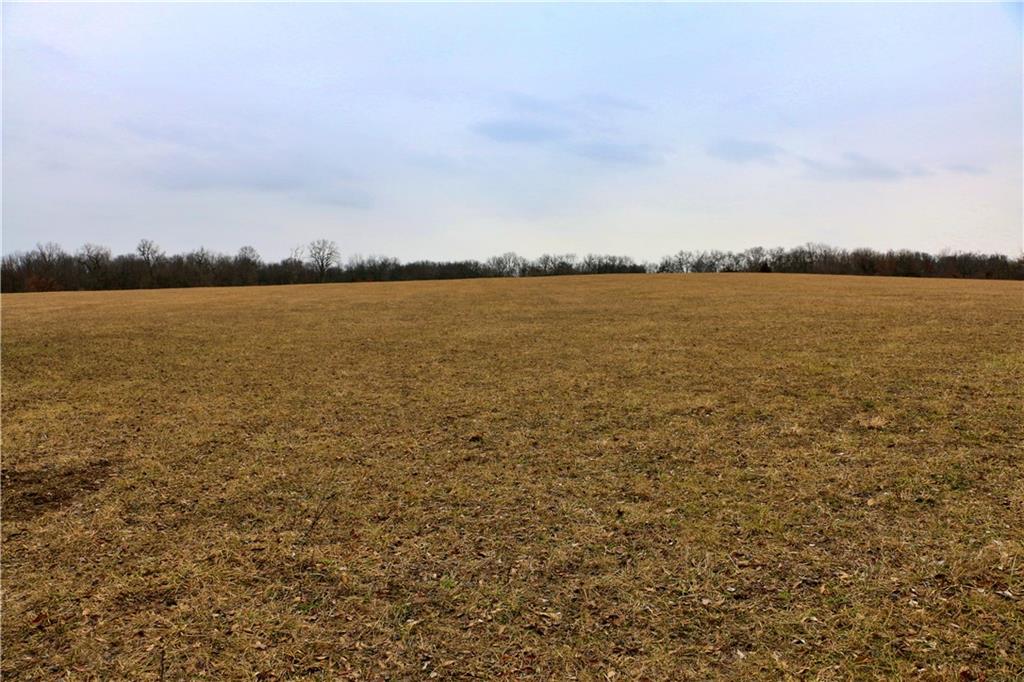 Tbd Rodeo Avenue Brunswick, MO 65236 - Photo 43 of 55