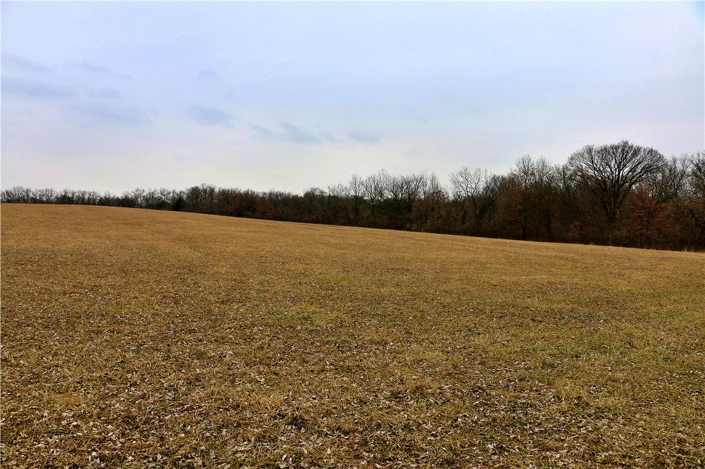 Tbd Rodeo Avenue Brunswick, MO 65236 - Photo 44 of 55