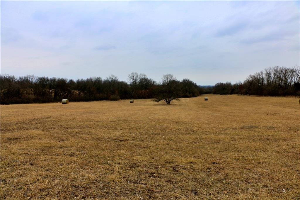 Tbd Rodeo Avenue Brunswick, MO 65236 - Photo 46 of 55