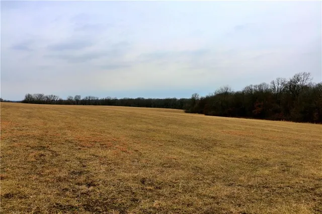 $497,700 | Tbd Rodeo Avenue, Brunswick, MO 65236