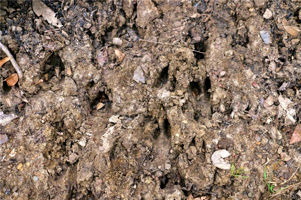 Tbd Rodeo Avenue Brunswick, MO 65236 - Photo 48 of 55