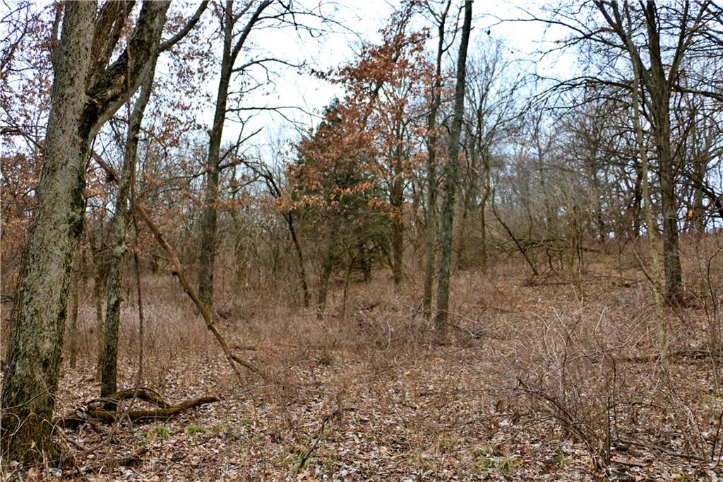 Tbd Rodeo Avenue Brunswick, MO 65236 - Photo 49 of 55