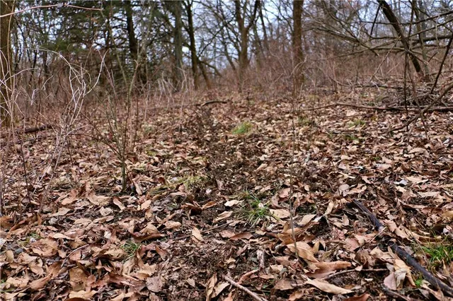 $497,700 | Tbd Rodeo Avenue, Brunswick, MO 65236