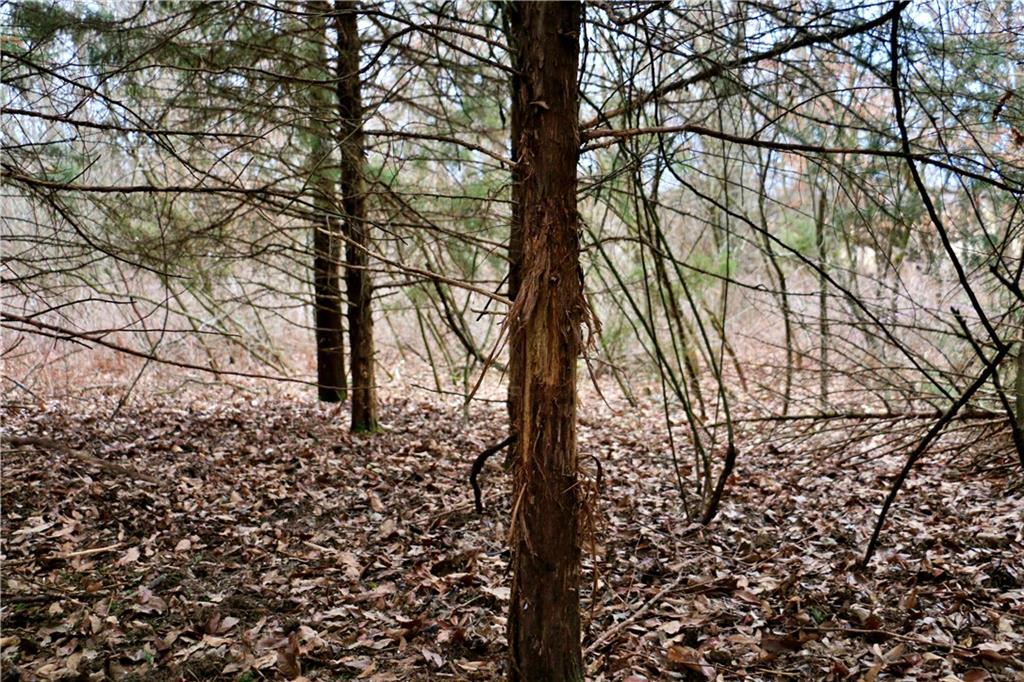 Tbd Rodeo Avenue Brunswick, MO 65236 - Photo 51 of 55