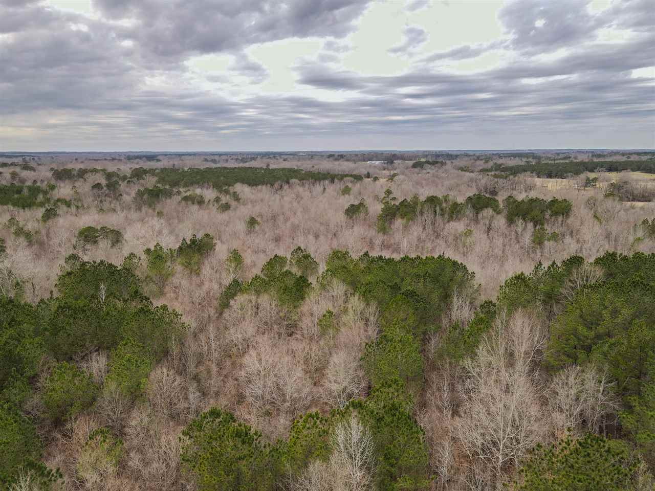 0 Old Jackson Road Conehatta, MS 39057 - Photo 13 of 30 Photo 22