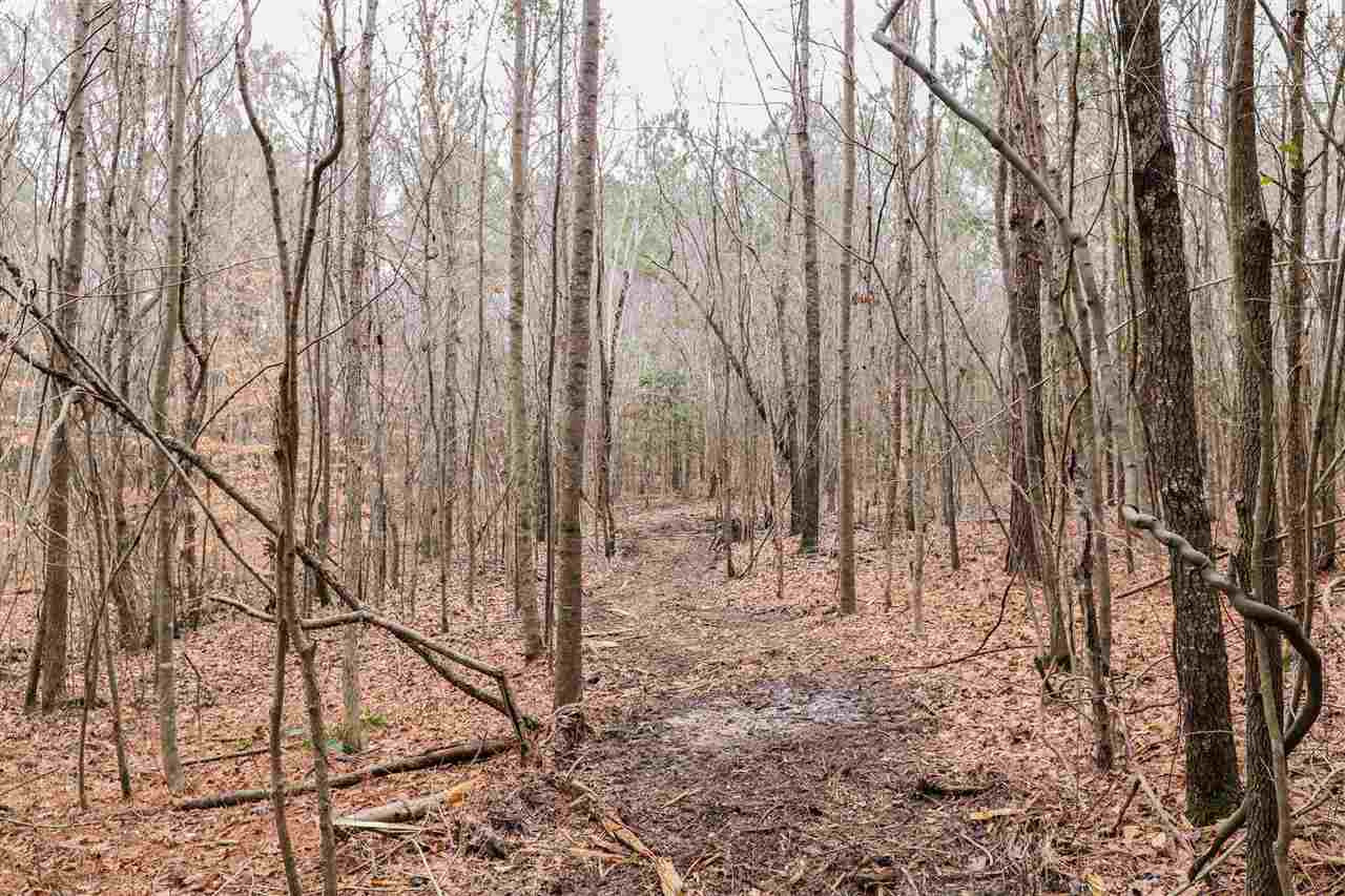 0 Old Jackson Road Conehatta, MS 39057 - Photo 5 of 30 Photo 5