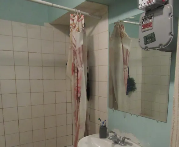 $270,000 | 5045 South Hoyne Avenue, Chicago, IL 60609