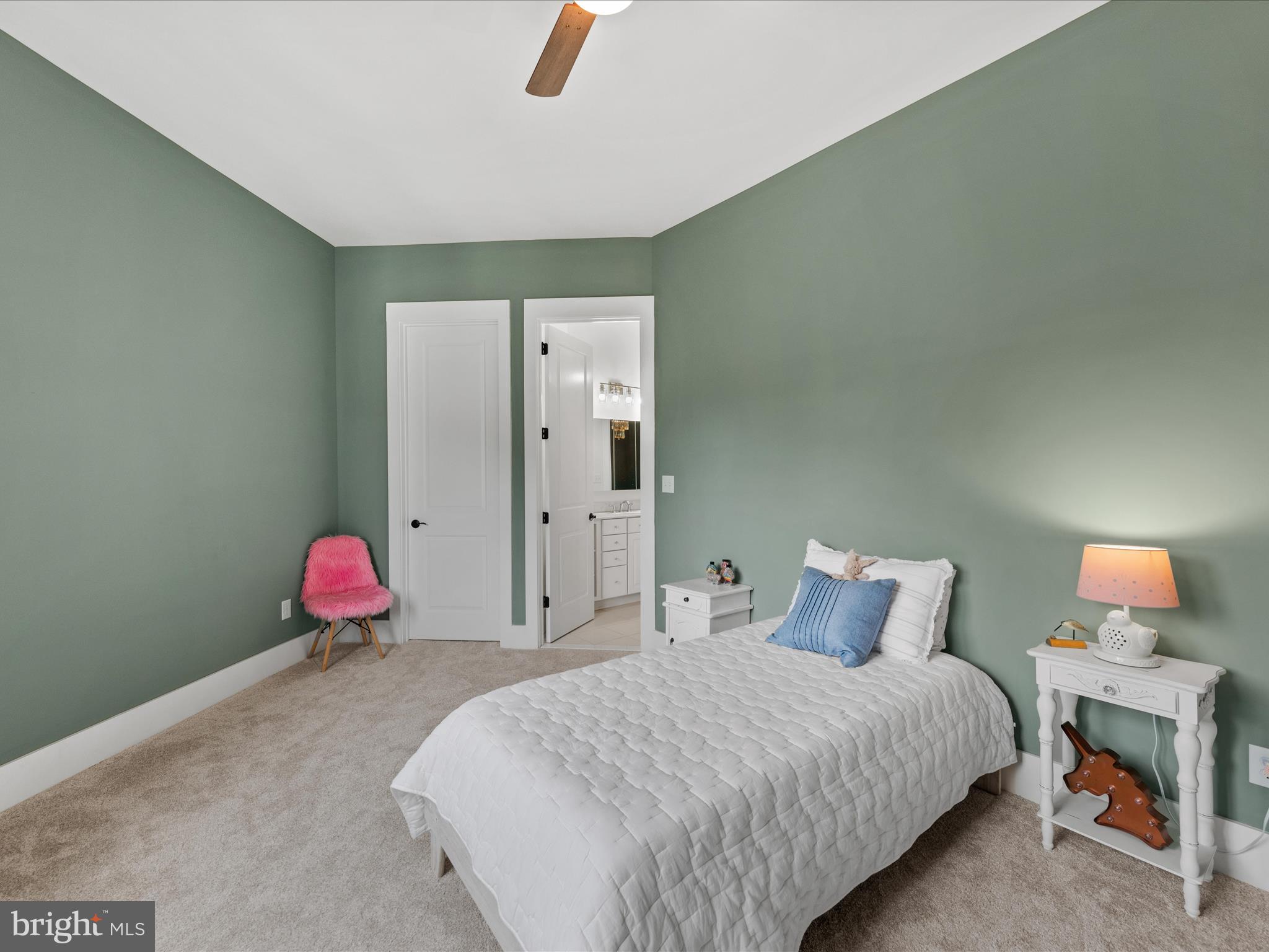35567 Peregrine Road Lewes, DE 19958 - Photo 60 of 81 Additional 2nd floor guest room , walk-in closet
